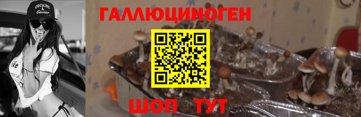 Псилоцибиновые грибы прущие грибы  Вход с VPN  Волжск 